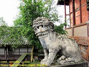 Luzhou 034